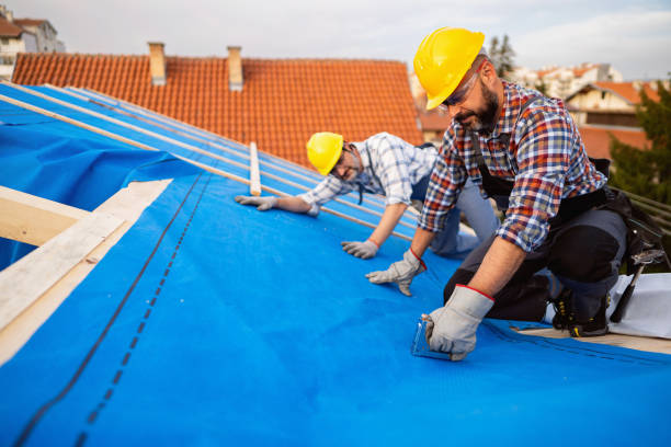 Best Roof Installation  in Eupora, MS