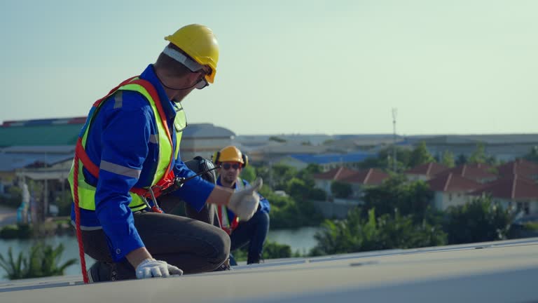 Best Roof Insulation Installation  in Eupora, MS