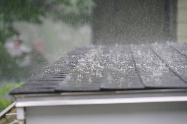 Best Gutter Installation and Repair  in Eupora, MS