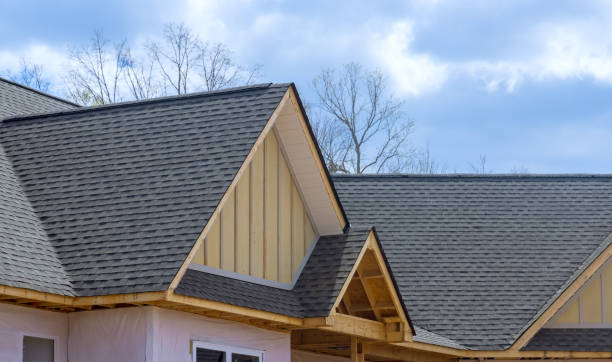 Best Steel Roofing  in Eupora, MS