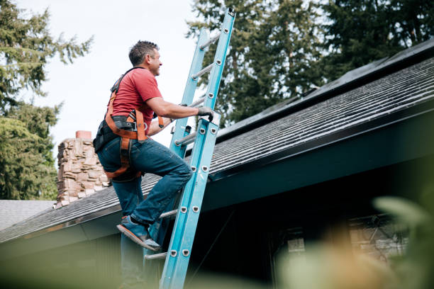 Best Chimney Flashing Repair  in Eupora, MS