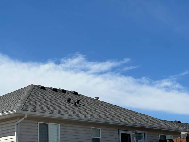 Best Slate Roofing  in Eupora, MS